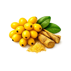 Insulinorm — Ekstrakt z Berberis aristata (berberyna)