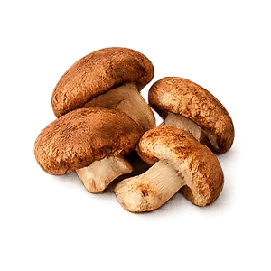 Insulinorm — Ekstrakt z shiitake, beta-glukany (Lentinula edodes)